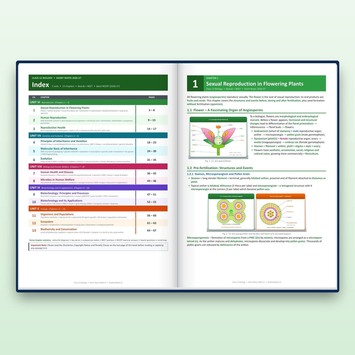 Inside: index and chapter 1