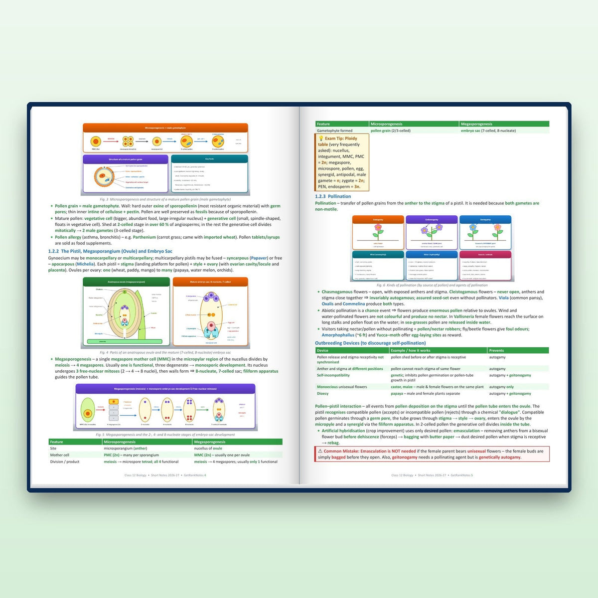 Inside: Reproduction in plants