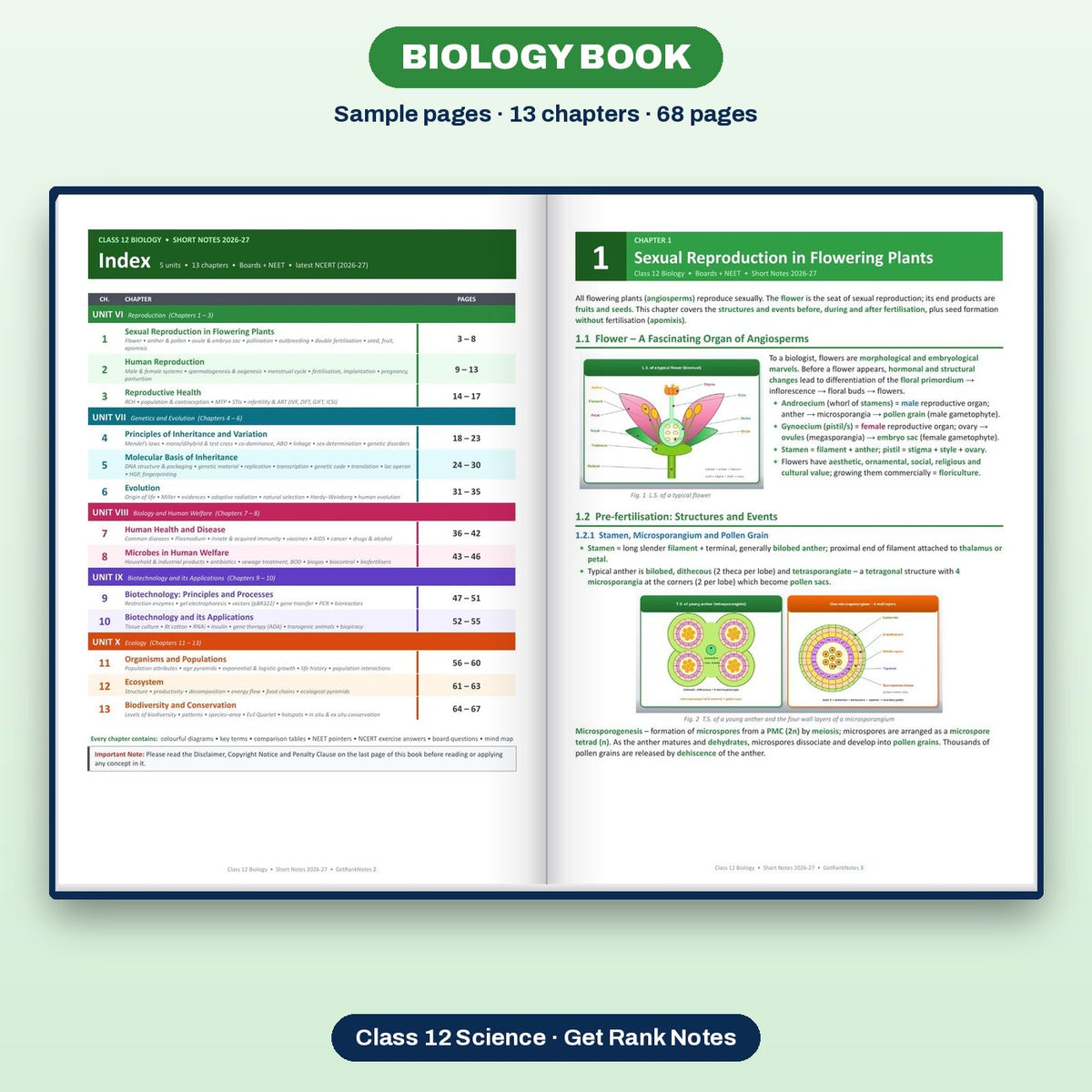 Biology book: sample pages
