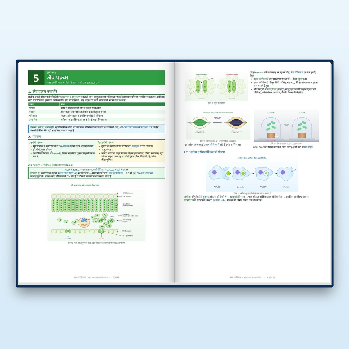 Inside: Biology chapter