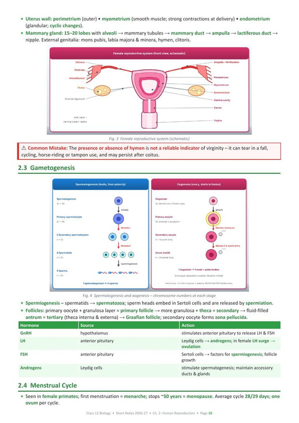 Human Reproduction page from the book