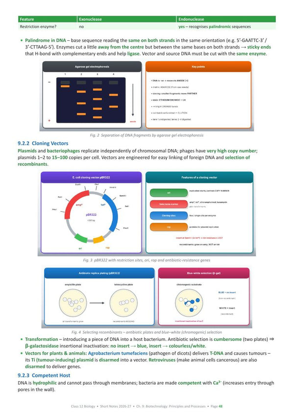Biotechnology: Principles and Processes page from the book