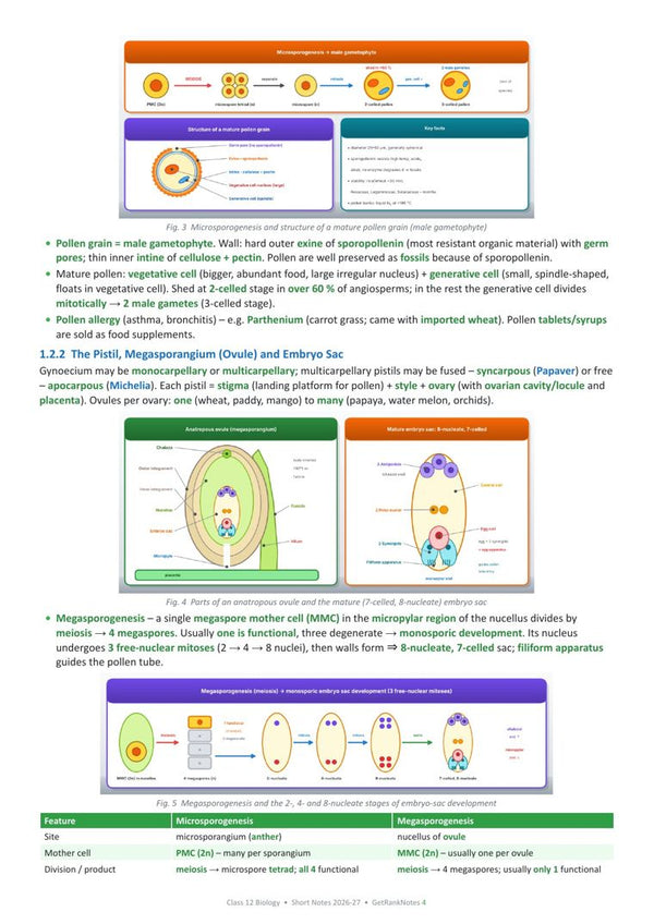 Sexual Reproduction in Flowering Plants page from the book