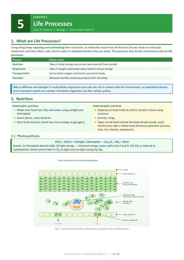 Life Processes page from the book