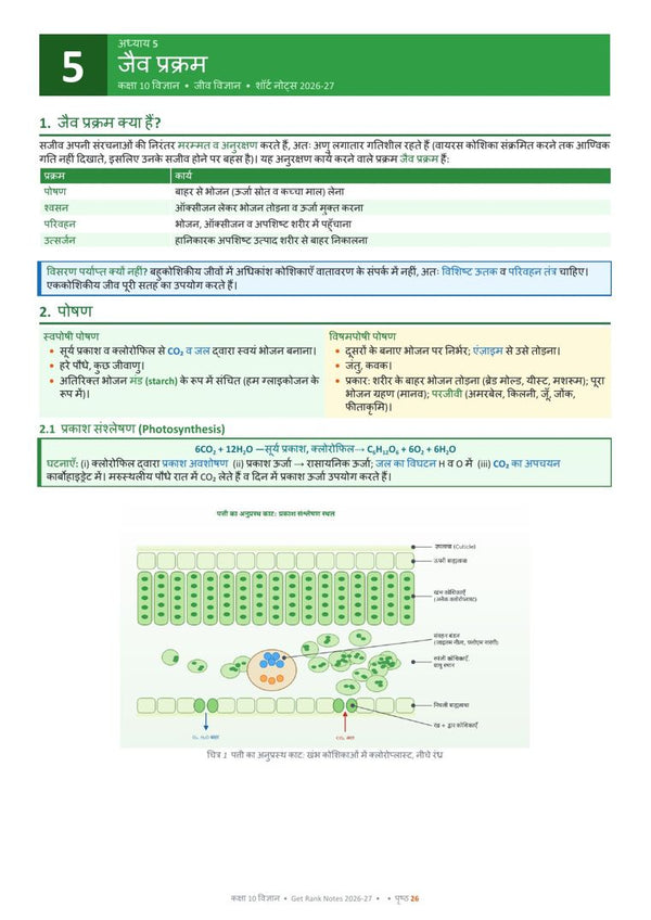 Life Processes page from the book